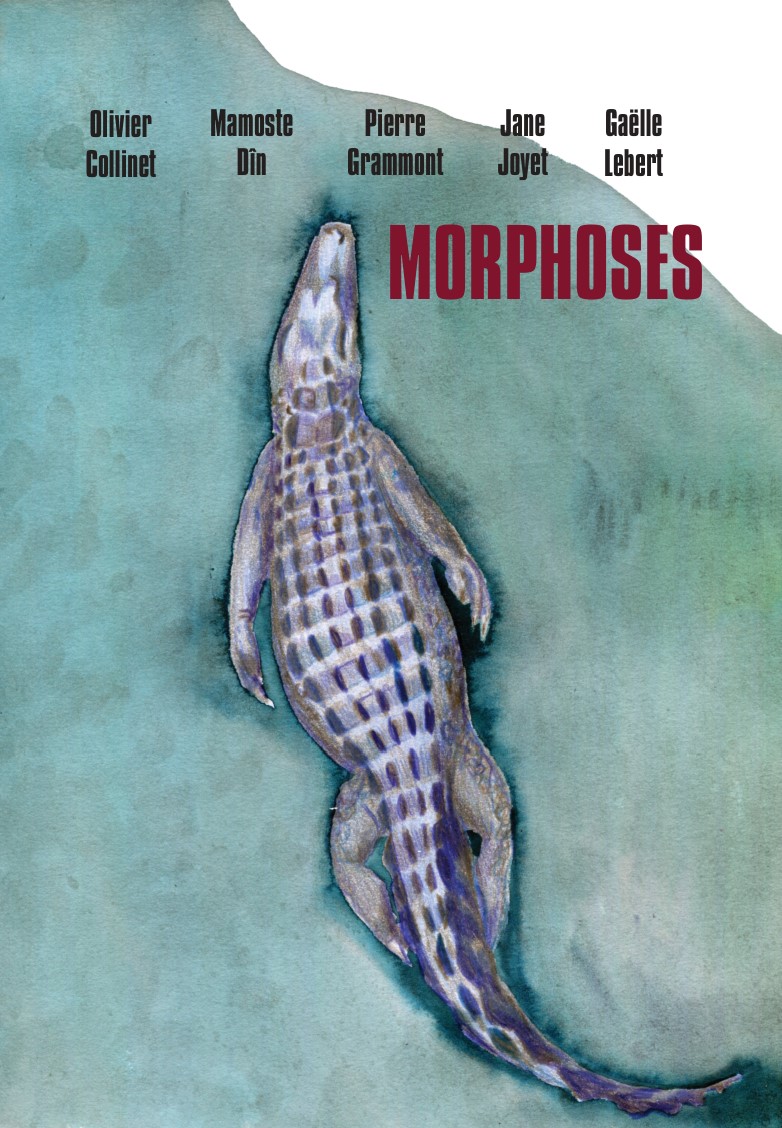 morphoses/romanphoto